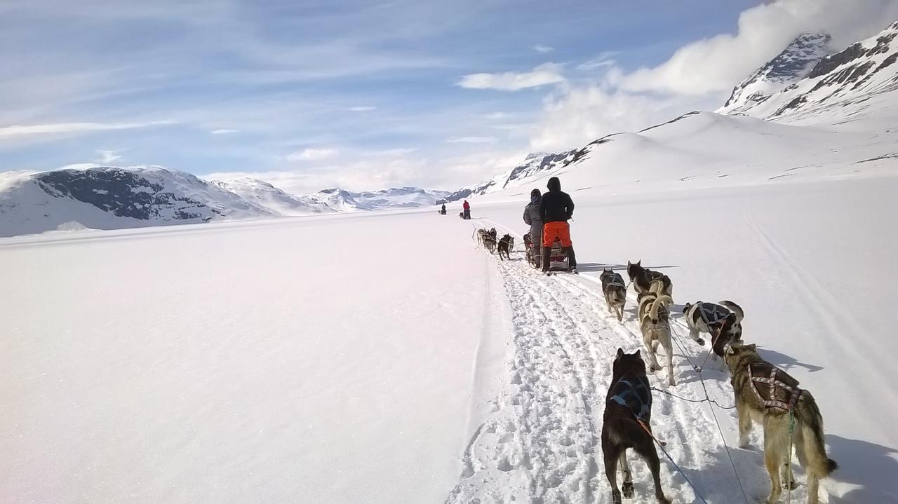 Bygdin Hoyfjellshotell Beitostolen المظهر الخارجي الصورة